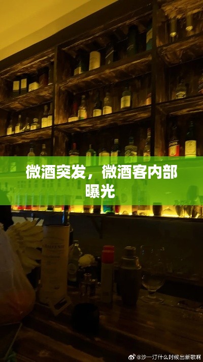 微酒突发，微酒客内部曝光 
