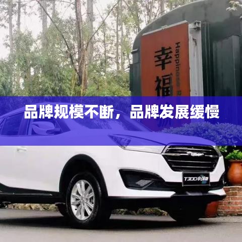 品牌规模不断，品牌发展缓慢 
