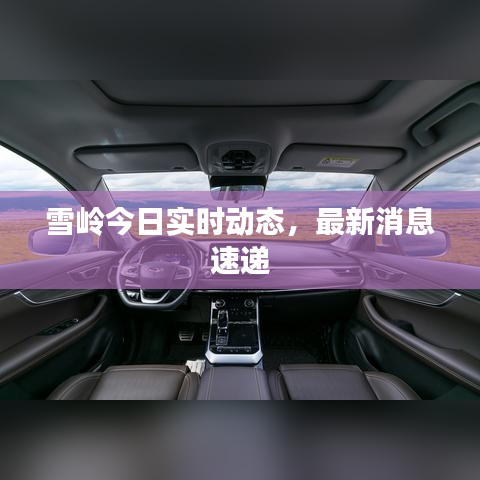 雪岭今日实时动态，最新消息速递