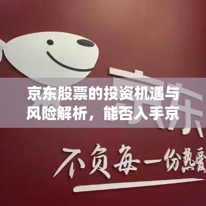 京东股票的投资机遇与风险解析，能否入手京东股市？