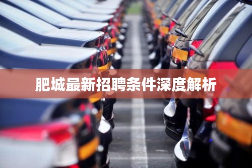 肥城最新招聘条件深度解析