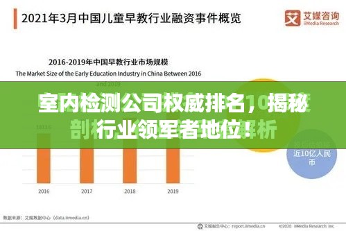 室内检测公司权威排名，揭秘行业领军者地位！