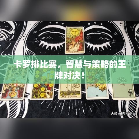 卡罗排比赛，智慧与策略的王牌对决！