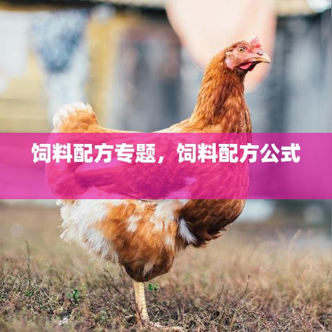 饲料配方专题，饲料配方公式 