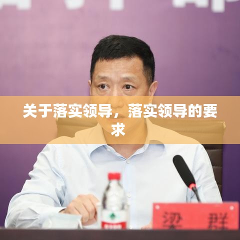 关于落实领导，落实领导的要求 