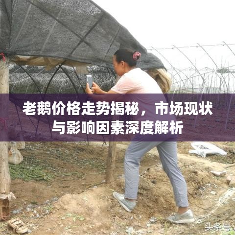 秀才人情纸半张