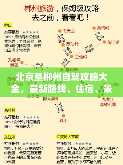 貌美如花