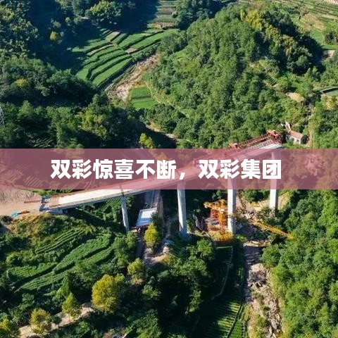 双彩惊喜不断，双彩集团 
