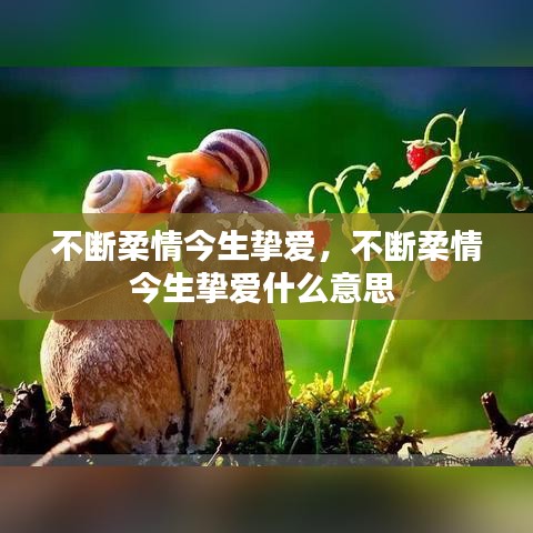 不断柔情今生挚爱，不断柔情今生挚爱什么意思 