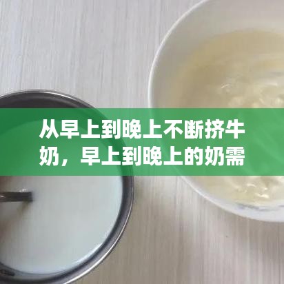 从早上到晚上不断挤牛奶，早上到晚上的奶需要挤掉吗 