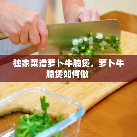 独家菜谱萝卜牛腩煲，萝卜牛腩煲如何做 