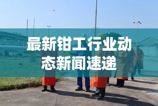 百鸟归巢