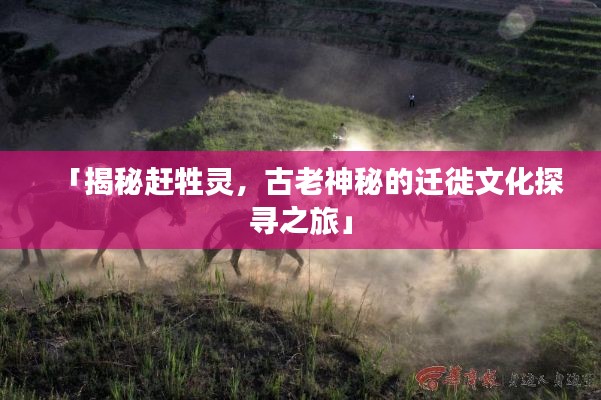 「揭秘赶牲灵，古老神秘的迁徙文化探寻之旅」