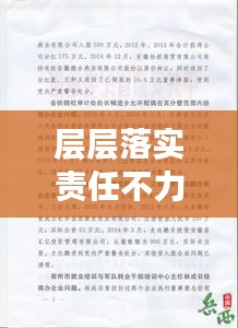 层层落实责任不力，责任落实不力问题 