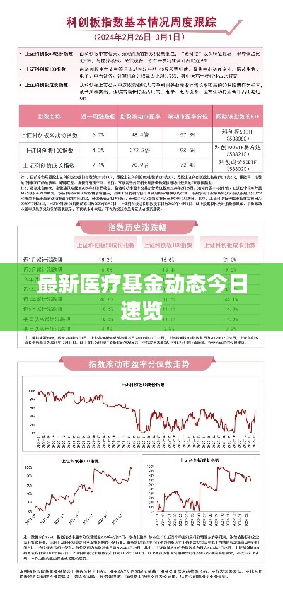 最新医疗基金动态今日速览