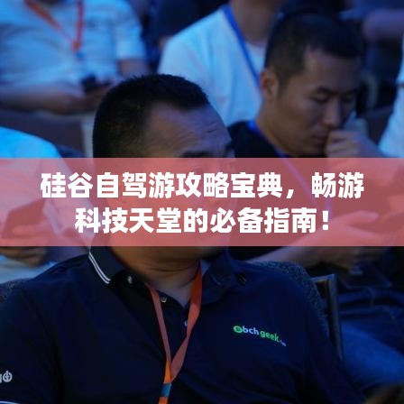 硅谷自驾游攻略宝典，畅游科技天堂的必备指南！