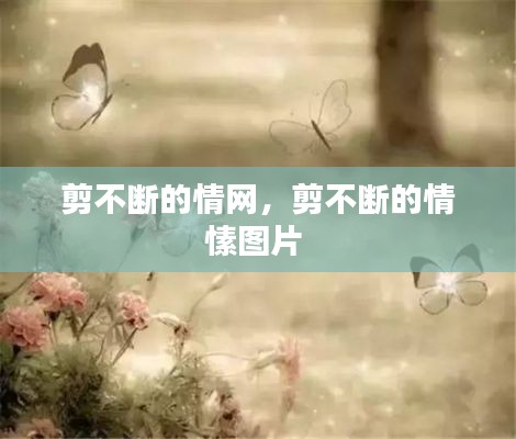 剪不断的情网，剪不断的情愫图片 