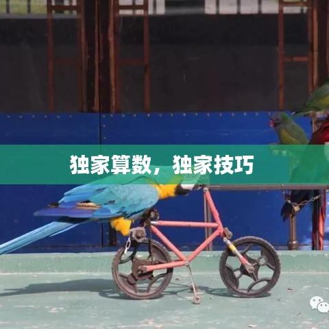 富贵骄人