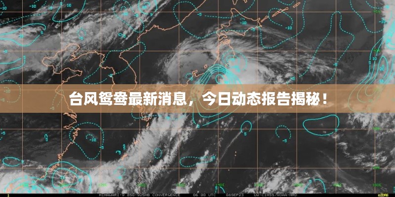 业业兢兢