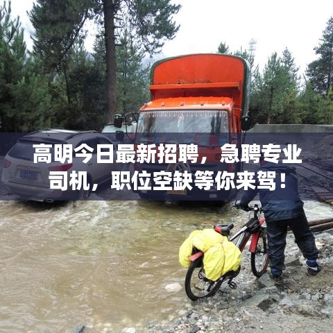 高明今日最新招聘，急聘专业司机，职位空缺等你来驾！