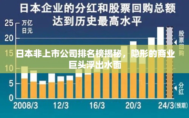 日本非上市公司排名榜揭秘，隐形的商业巨头浮出水面