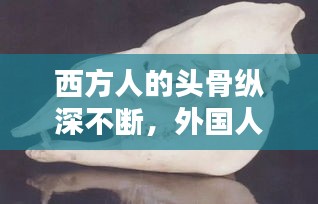 西方人的头骨纵深不断，外国人的头骨 