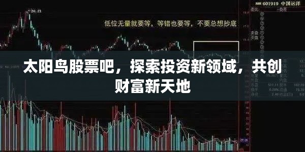 太阳鸟股票吧，探索投资新领域，共创财富新天地