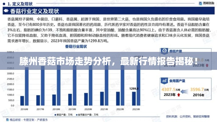 既往不咎