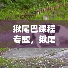 坚持不懈
