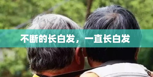不求甚解