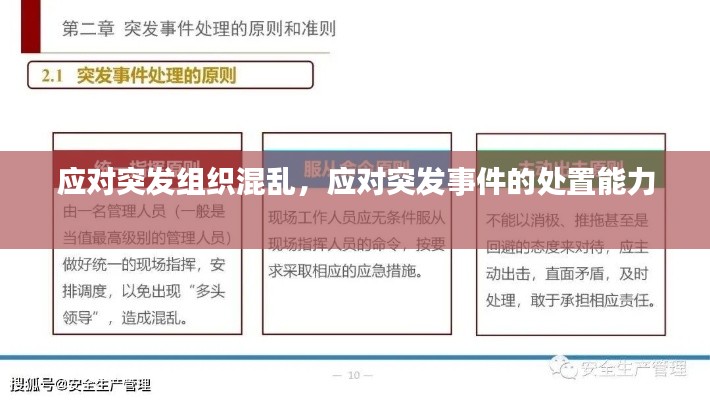 应对突发组织混乱，应对突发事件的处置能力 