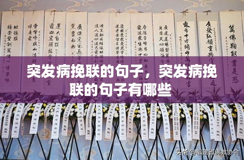 目不转睛