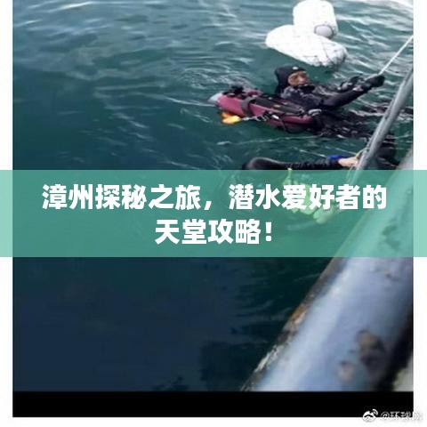 漳州探秘之旅，潜水爱好者的天堂攻略！
