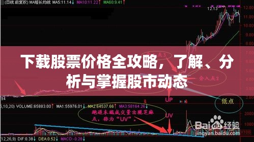 高人雅士