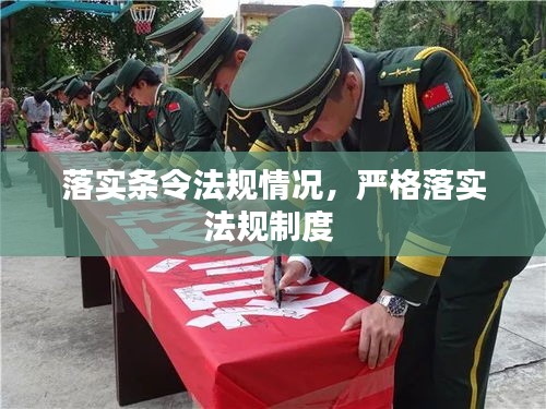 落实条令法规情况，严格落实法规制度 