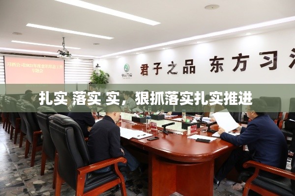 扎实 落实 实，狠抓落实扎实推进 