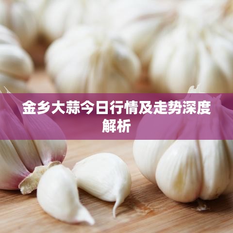 金乡大蒜今日行情及走势深度解析