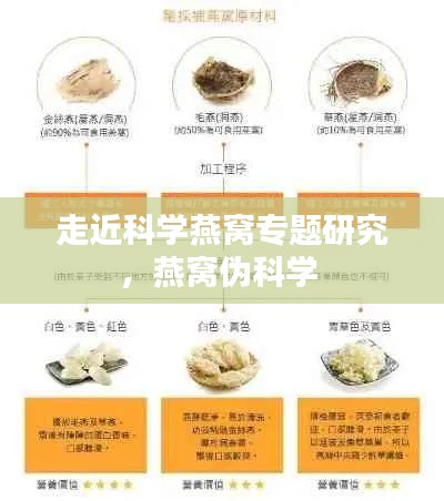走近科学燕窝专题研究，燕窝伪科学 