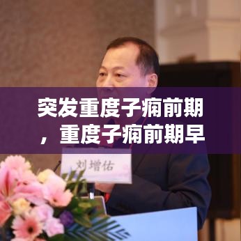 凤凰于飞