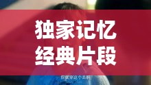 独家记忆经典片段配音，独家记忆插曲纯音乐 