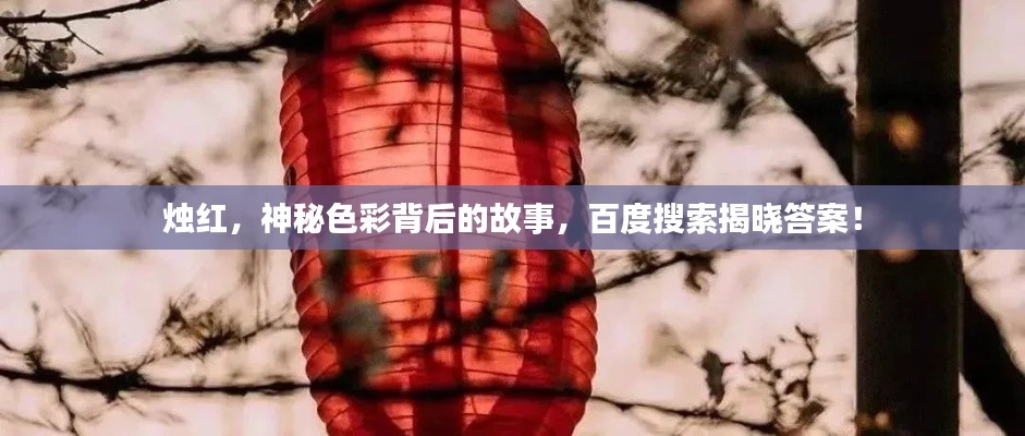 随圆就方