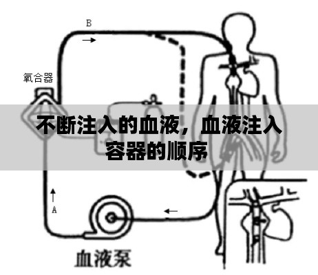 2025年4月 第36页