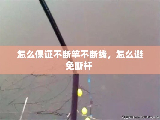 怎么保证不断竿不断线，怎么避免断杆 