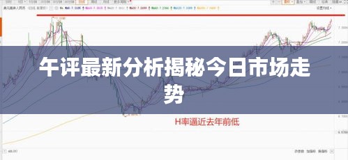 午评最新分析揭秘今日市场走势