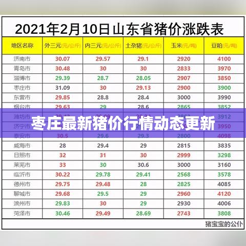 枣庄最新猪价行情动态更新