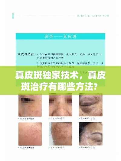 张袂成阴
