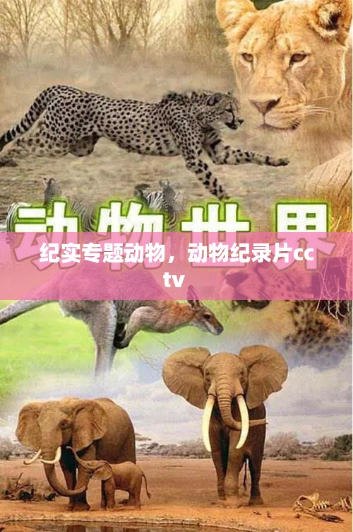 纪实专题动物，动物纪录片cctv 
