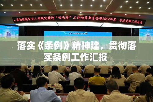 落实《条例》精神建，贯彻落实条例工作汇报 