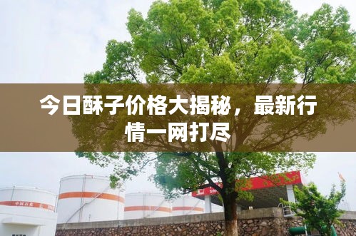 标新创异