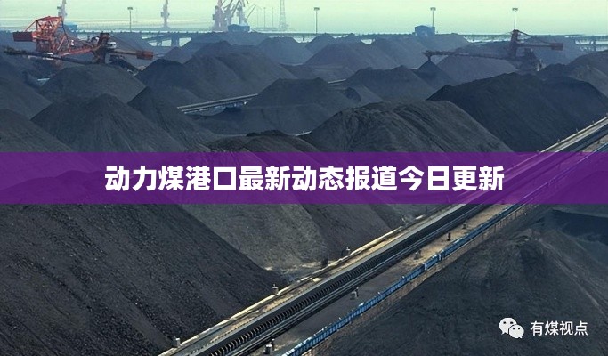 动力煤港口最新动态报道今日更新